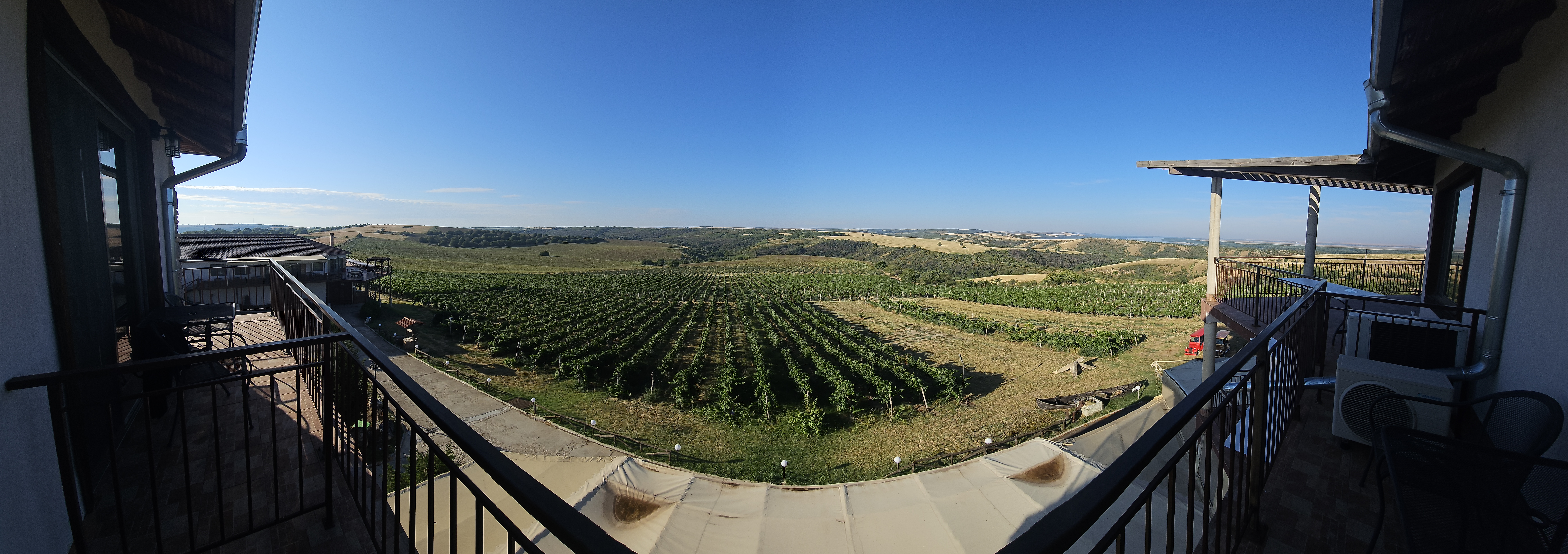 Vines along the Danube, Northern Bulgaria